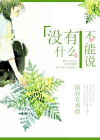 没有什么不能说小说