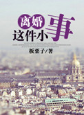 离婚这件小事小说