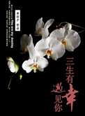 三生有幸，遇见你小说