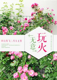 无意玩火小说