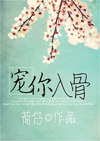 宠你入骨小说