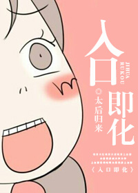 入口即化小说