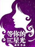 等你的星光小说