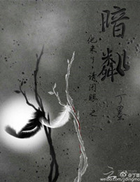 他来了请闭眼之暗粼小说