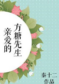 亲爱的方糖先生小说