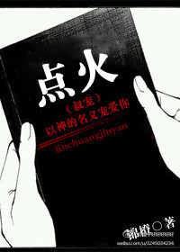 点火（叔宠）小说