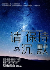 请保持沉默小说