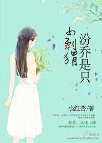 汾乔是只小刺猬小说