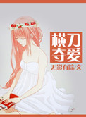 横刀夺爱小说
