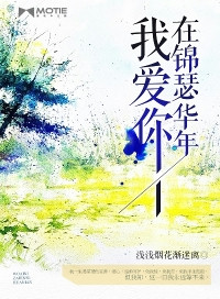 我爱你，在锦瑟华年小说