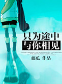 只为途中与你相见小说