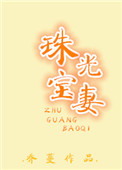 珠光宝妻小说