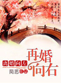 离婚向左再婚向右小说