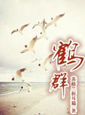 鹤群小说