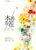 本非善茬小说
