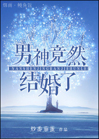 男神竟然结婚了（娱乐圈）小说