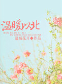 温软之北，暖宠以南（温暖以北）小说