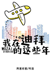 我在迪拜的这些年小说