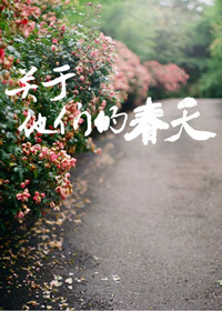 关于他们的春天小说