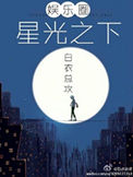 星光之下(娱乐圈)小说