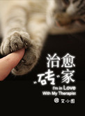 治愈砖家小说