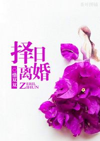 择日离婚小说