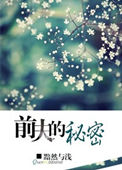 前夫的秘密小说