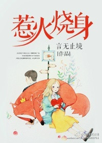 惹火烧身小说