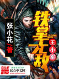 铁掌无敌王小军小说
