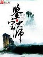 鉴宝大师小说