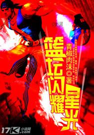 篮坛闪耀星光小说