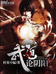 武道论阴阳小说