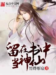 内阁第一夫人小说