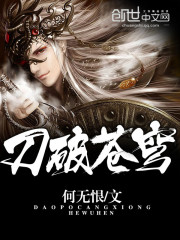 刀破苍穹小说