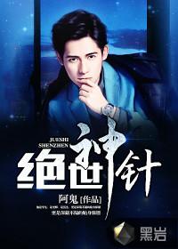 绝世神针小说