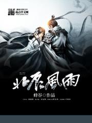 北辰风雨小说