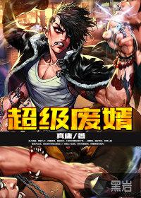 超级废婿小说
