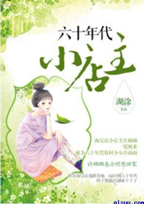 六十年代小店主小说