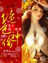 绝色神偷：史上第一废柴小说