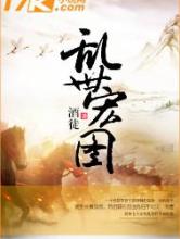 乱世宏图小说