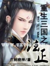 重生三国之法正小说