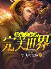 都市之我的完美世界小说