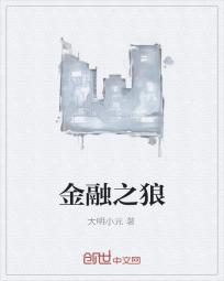 金融之狼小说