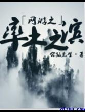 网游之率土之滨小说