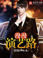 漫漫演艺路小说