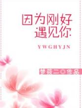 因为刚好遇见你小说