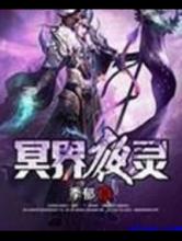冥界夜灵小说
