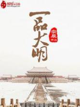 一品大明小说