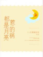 都是月亮惹的祸小说