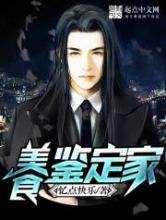 美食鉴定家小说